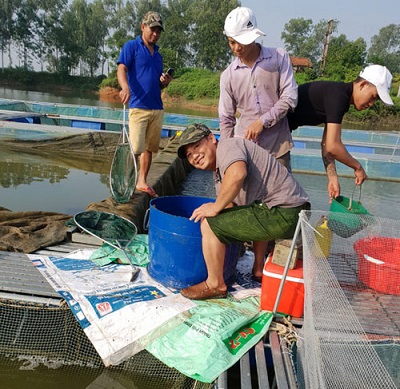 Đầu năm Kỷ Hợi: Thăm trang trại nuôi cá chuối hoa cho lãi “khủng” - 1