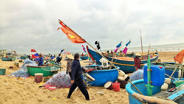 Ngư dân Vũng Tàu trúng đậm &#39;lộc biển&#39; đầu năm - 12