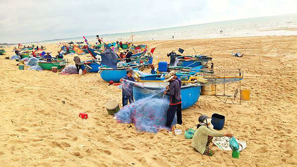 Ngư dân Vũng Tàu trúng đậm &#39;lộc biển&#39; đầu năm - 13