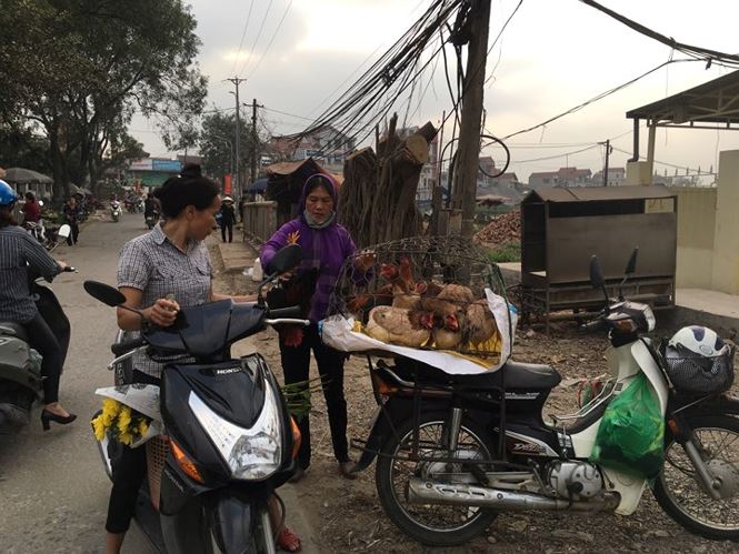 Rau xanh, hoa tươi ở Hà Nội rớt giá thê thảm sau Tết - 3