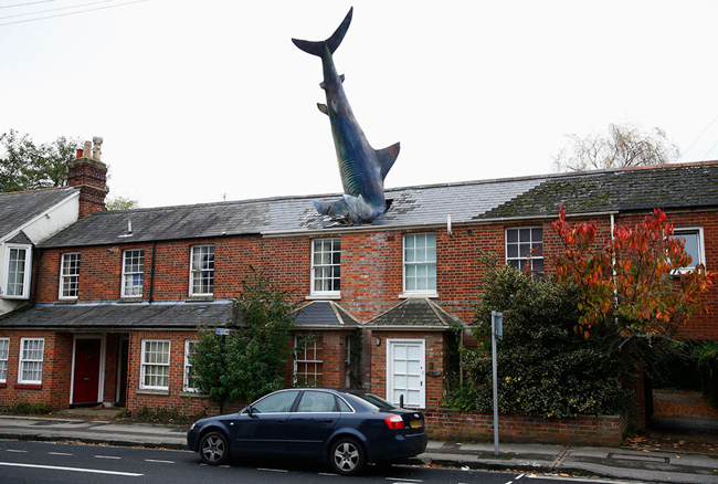 16, Mô hình cá mập dài tới 7,6m “đâm đầu” xuống mái nhà ở Oxford, Anh.