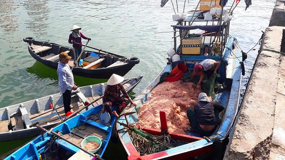 Xuyên đêm săn “lộc biển”, ngư dân kiếm tiền triệu chỉ sau vài giờ - 3