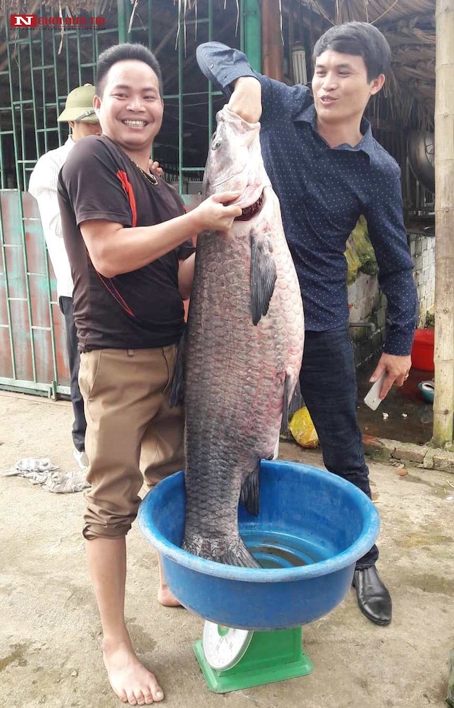 Nóng trong tuần: Lái xe buýt bỏ trạm, chở “bà bầu” vào viện và sự thật bất ngờ - 3