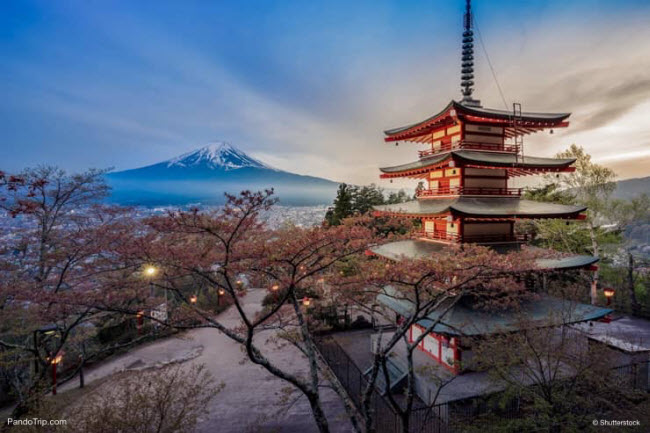 Du khách nên tới ngôi chùa Chureito ở Fujiyoshida để chiêm ngưỡng cận cảnh ngọn núi Phú Sĩ. Ngoài ra, bạn có thể tham gia tour chinh phục đỉnh của núi này.