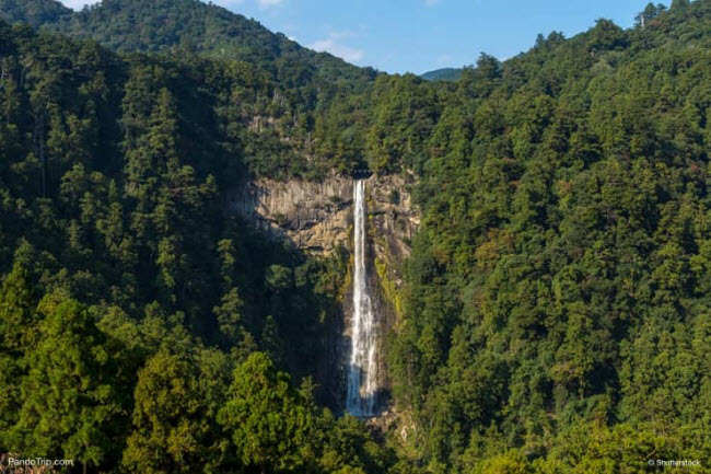 Du khách có thể chiêm ngưỡng vẻ đẹp của thác Nachi từ hai đài quan sát. Điểm ở vị trí thấp hơn có giá vé 300 yen (65.000 đồng). Đài quan sát cao hơn nằm trên ngôi chùa Seiganto-ji không thu phí.