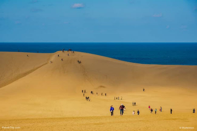 Cồn cát Tottori có chiều dài khoảng 10km dọc bờ biển và được gọi là tiểu sa mạc Sahara. Tại đây, du khách có thể tham gia hoạt trượt ván trên cồn cát.