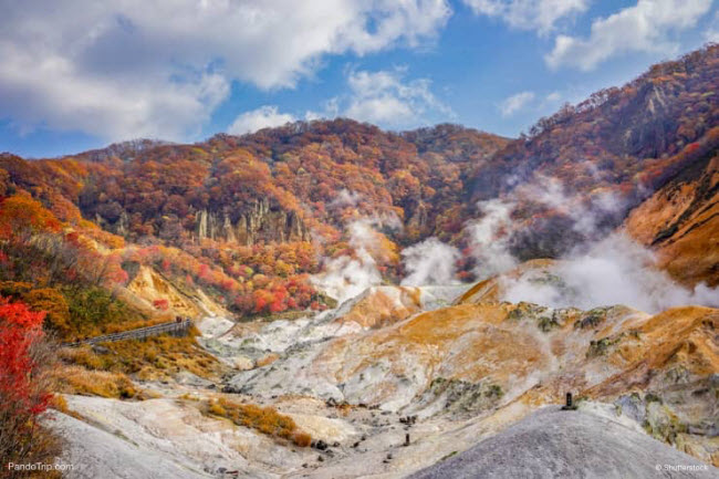 Thung lũng Jigokudani là khu nghỉ dưỡng nước nóng nổi tiếng nhất ở Nhật Bản. Du khách có thể tới khu nghỉ dưỡng Dai-ichi Takimotokan để trải nghiệm tắm nước nóng theo phong cách truyền thống của Nhật Bản.