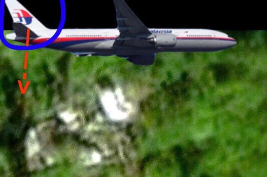 Manh mối mới từ cuộc tìm kiếm MH370 trong rừng Campuchia - 1