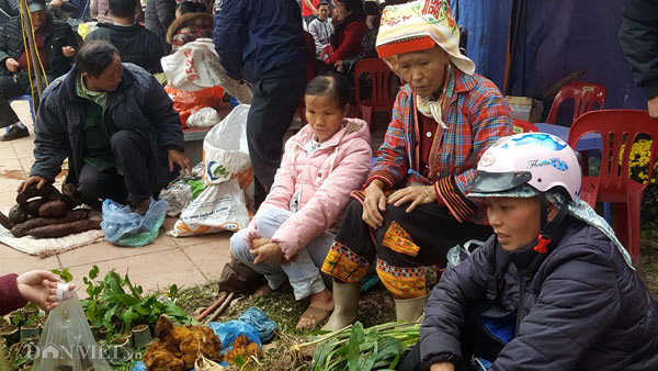 La liệt &#34;thần dược&#34; trên núi cao được người Dao Mẫu Sơn mang bày bán - 3