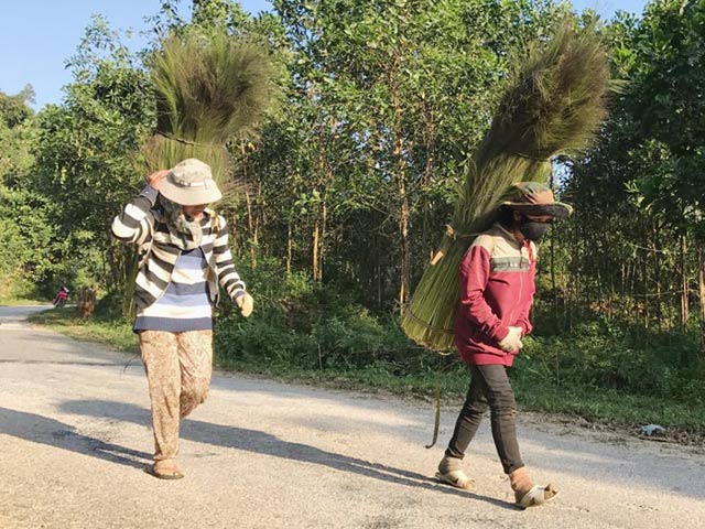 Mang gùi, cầm rựa vào rừng &#34;nhặt&#34; lộc của người miền núi Quảng Ngãi - 3