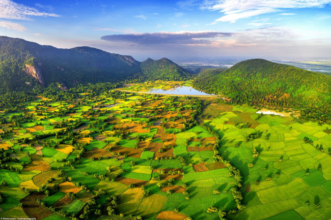 Những cánh đồng lúa này nằm gần Đồng bằng sông Cửu Long tại thị trấn Tri Tôn, tỉnh An Giang.