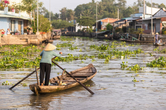 Tại nhiều vùng ở Đồng bằng sông Cửu Long, thuyền được sử dụng làm phương tiện chính để di chuyển.