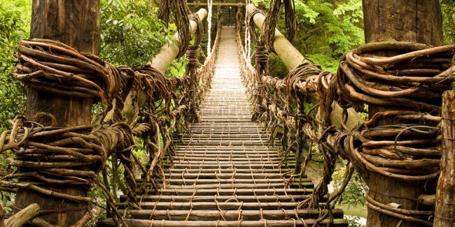 Cầu rễ cây, Nhật Bản: Cây cầu ở thung lũng Iya được xây dựng cách đây khoảng 900 năm. Ban đầu, nó chỉ bao gồm một số tấm gỗ nhỏ được cột lại với nhau bằng 2 rễ cây. Chúng sau đó được gia cố bằng thêm các rễ cây và ván gỗ.