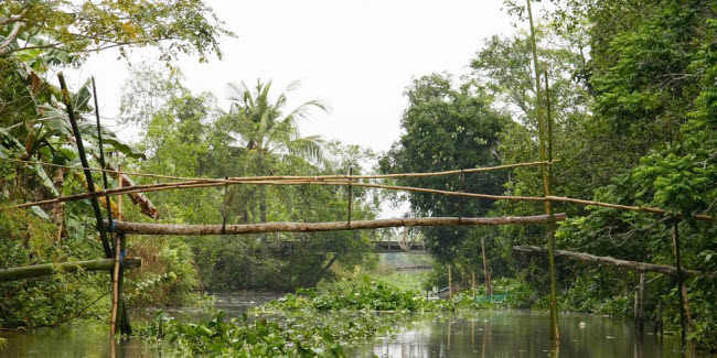 Cầu khỉ, Việt Nam: Cầu khi được người dân ở Đồng bằng sông Cửu Long làm từ tre. Ngày nay, những cây cầu khỉ được thay thế bằng cầu bê tông cốt thép.