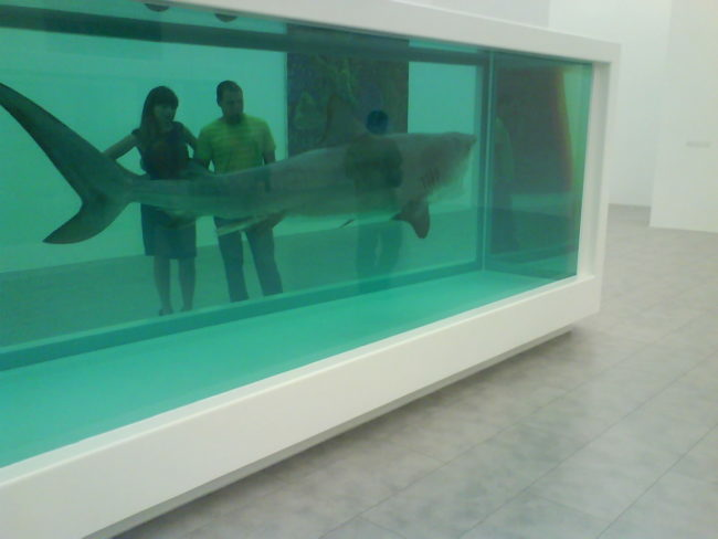 Tác phẩm nghệ thuật “Dead shark” - 12 triệu USD (khoảng 278 tỷ VND). Với tên chính thức là The Physical Impossibility of Death in the Mind of Someone Living, tác phẩm này được tạo ra vào năm 1991 bởi nghệ sĩ người Anh Damien Hirst và khắc họa hình ảnh một con cá mập được ngâm trong dung dịch phooc-môn.