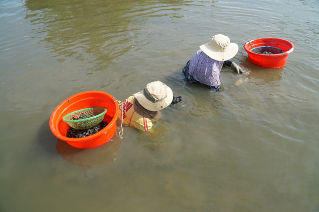 Dầm mình nhiều giờ quyết "săn" bằng được con đồng đen, cơm cháy - 2