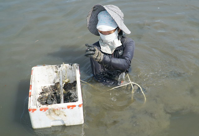 Dầm mình nhiều giờ quyết "săn" bằng được con đồng đen, cơm cháy - 5