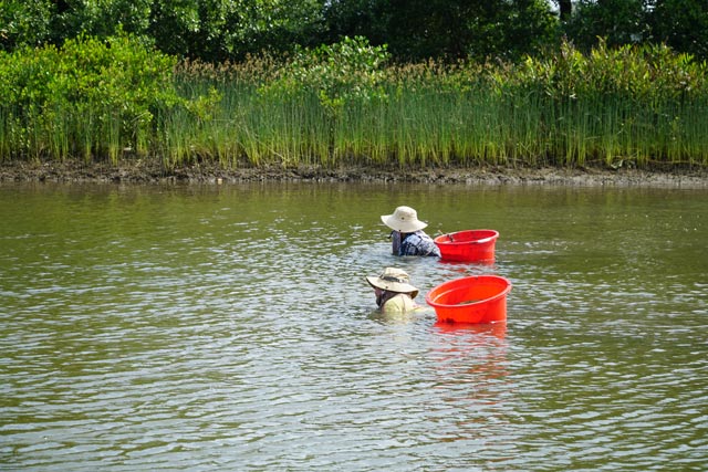 Dầm mình nhiều giờ quyết "săn" bằng được con đồng đen, cơm cháy - 7