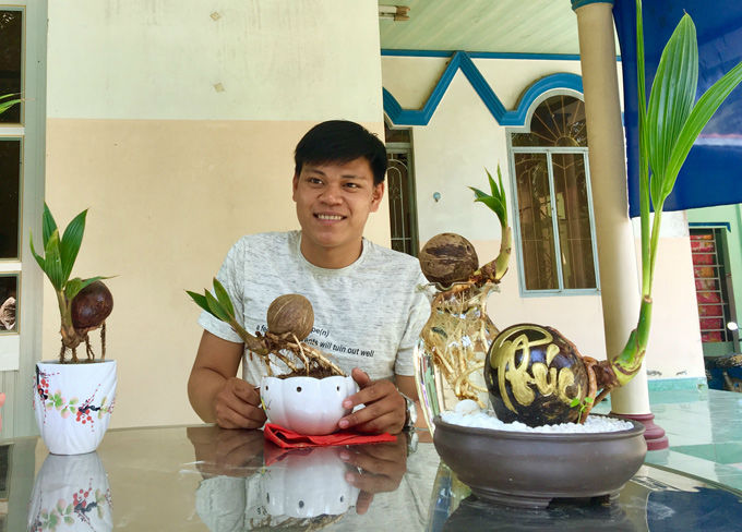 Độc đáo Bến Tre: Bonsai dừa độc lạ giá hơn triệu một chậu bé tí - 7
