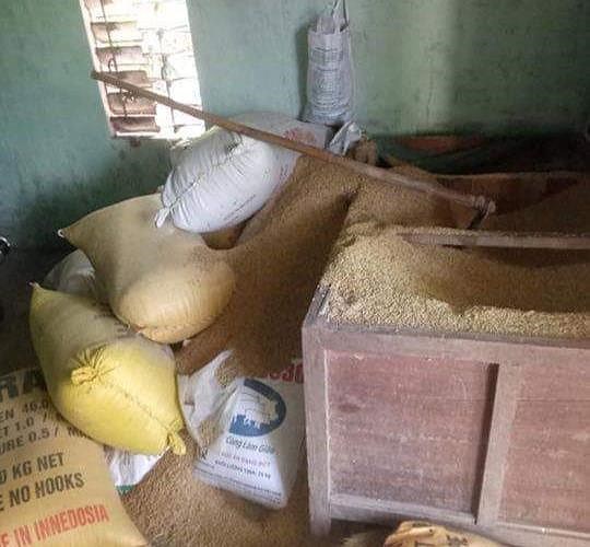 Một người dân báo mất 49 cây vàng giấu trong thùng lúa - 1