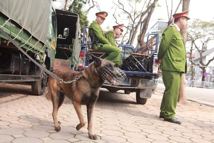 Lãnh đạo Việt Nam đón tiếp Chủ tịch Triều Tiên Kim Jong Un - 4