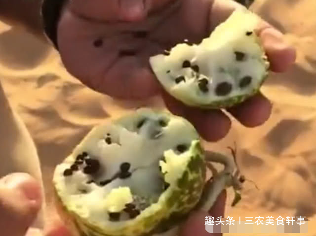 Dù có khát đến mấy du khách cũng chớ ăn loại dưa hấu mọc hoang trên sa mạc - 3