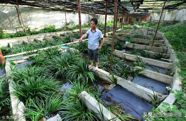 Thạc sĩ về quê nuôi loài quý hiếm có vẻ ngoài &#34;ghê rợn&#34; mà đổi đời thành tỷ phú - 1