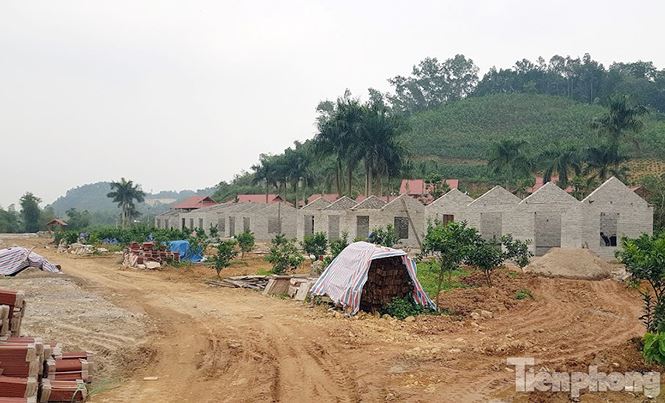 Trang trại nuôi bò thành khu du lịch sinh thái &#39;khủng&#39; trái phép - 6