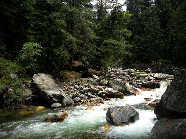 Kasol, bang Himachal Pradesh: Tại nơi đây bạn sẽ có những trải nghiệm là không thể nào quên với các thung lũng và cây xanh xung quanh.