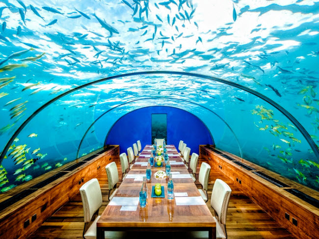 5. Conrad Maldives Rangali, Maldives: Nếu du khách muốn trải nghiệm cuộc sống dưới nước như nhân vật trong phim Aquaman, thì khách sạn là lựa chọn lý tưởng dành cho bạn.