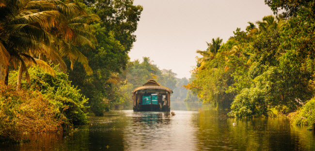 Kerala, Ấn Độ: Nằm ở trung tâm miền nam Ấn Độ, Kerala là một thành phố bờ biển nhiều màu sắc và các đầm nước lợ.