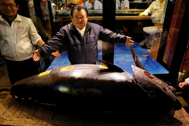 Người mua là chủ một chuỗi nhà hàng sushi nổi tiếng. Hồi năm 2013, người đàn ông này cũng bỏ ra 1,4 triệu USD (~32,5 tỷ đồng) mua con cá ngừ vây xanh 222kg.