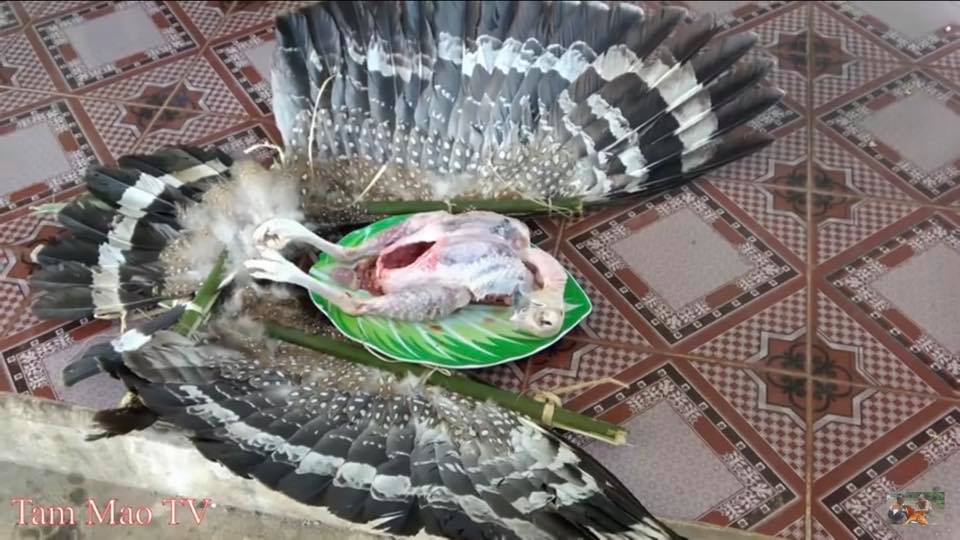 Thông tin mới vụ “chim quý” bị 2 anh em Tam Mao làm thịt rồi quay clip - 1