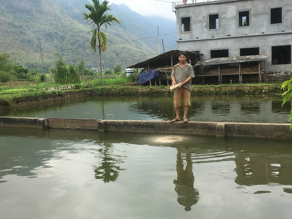 Nơi rừng không mông quạnh, lão nông nuôi cá bằng cỏ, lá... - 1