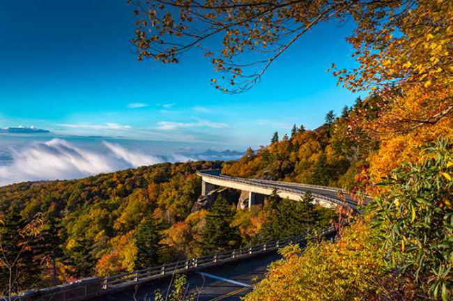 Blue Ridge Parkway, Bắc Carolina và Virginia: Đường Blue Ridge Parkway dài 469 dặm chạy dọc theo cột sống của dãy núi Blue Ridge. Nó cung cấp một trong những hình ảnh đa dạng nhất trên thế giới về hệ thực vật và động vật.