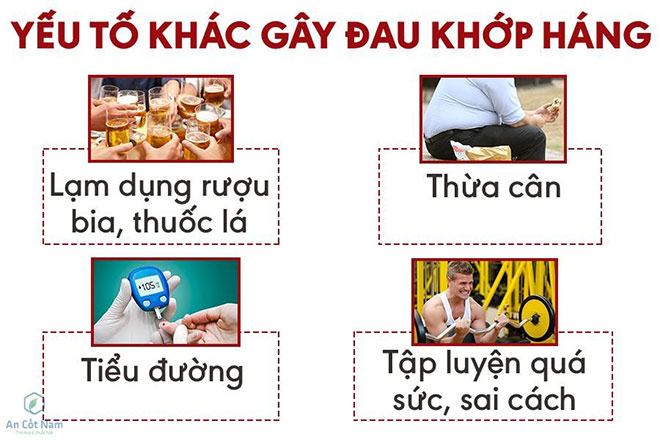 Viêm đau khớp háng: Nguyên nhân, triệu chứng và cách điều trị - 2