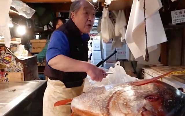 Loài cá khổng lồ siêu đắt đỏ được người Nhật săn lùng quanh năm - 1