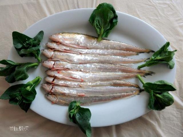 Loài cá quý nhất sông Trường Giang, giá bán có thể lên tới hơn 10 triệu nửa kg