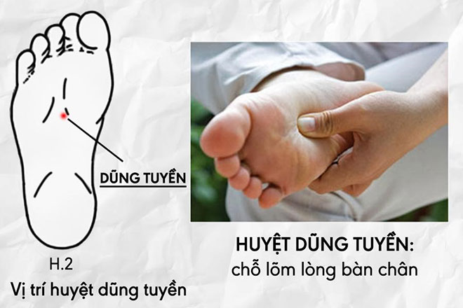 Cách trị ho khan, ho có đờm từ thảo dược cực hiệu quả - 2