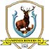 Chi tiết Tampines Rovers - Hà Nội: Nỗ lực bất thành (KT) - 1