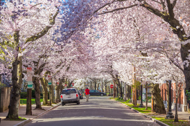 New Haven, Mỹ: Thành phố ven biển ở bang Connecticut có một chương trình hỗ trợ cư dân mới lên tới 80.000 USD để sửa chữa nhà ở của họ. Thêm nữa, thành phố còn miễn học phí học đại học cho các học sinh tốt nghiệp trường công lập cũng như các suất học bổng hằng năm.