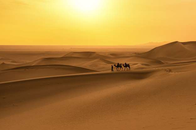Sa mạc nóng lớn nhất thế giới: Sahara 3.513.529 dặm vuông / 9.100.000 triệu km vuông.