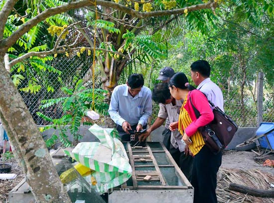 Kiên Giang: 5 năm nuôi mãng xà cực độc, bị cắn bao lần nhưng vẫn mê - 2