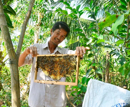 Kiên Giang: 5 năm nuôi mãng xà cực độc, bị cắn bao lần nhưng vẫn mê - 6