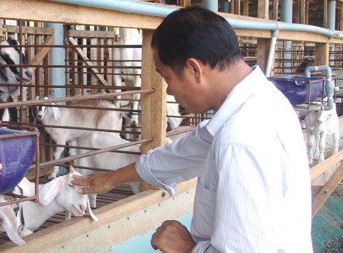 Chuyện làm giàu: Trở thành tỷ phú từ...1 con dê - 2