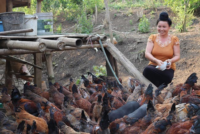 Vùng quê heo hút, nuôi toàn con đặc sản, đúi túi cả trăm triệu/năm - 1