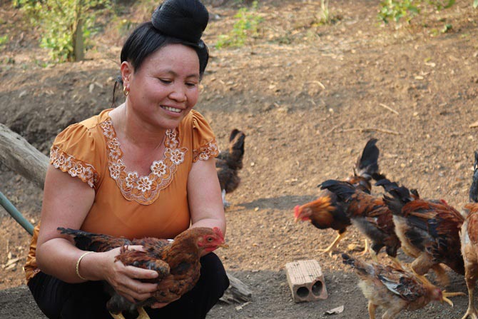 Vùng quê heo hút, nuôi toàn con đặc sản, đúi túi cả trăm triệu/năm - 2