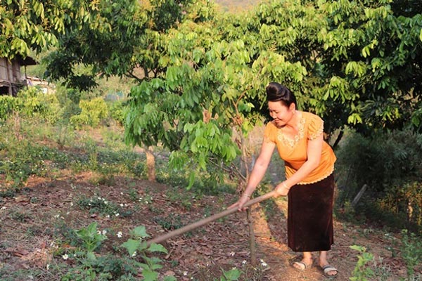 Vùng quê heo hút, nuôi toàn con đặc sản, đúi túi cả trăm triệu/năm - 6