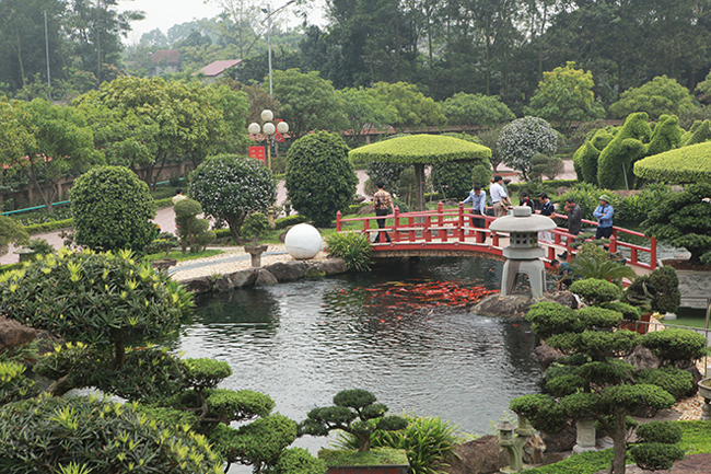 Đàn cá Koi đẳng cấp, độc nhất Việt Nam này thuộc sở hữu của một đại gia Thái Nguyên. Đàn cá gồm 500 con, kích thước trung bình từ 40 – 90cm