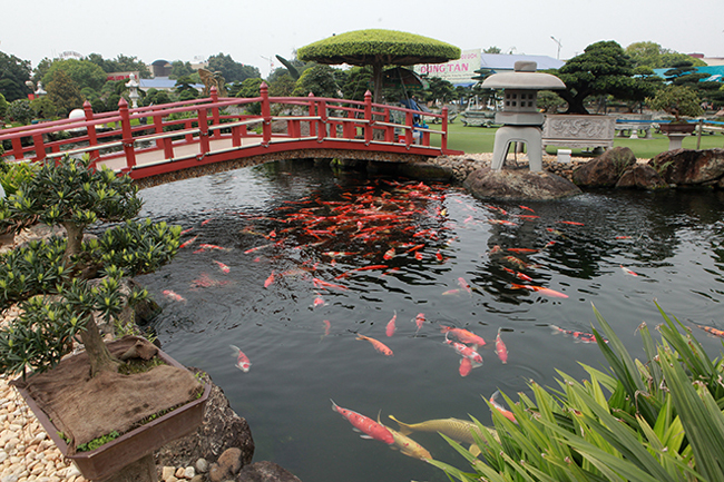 Kể về ý tưởng xây dựng một hồ cá Koi đẳng cấp tại Việt Nam, anh Dũng chia sẻ: "Năm 2015, tôi sang Nhật, gặp một hồ cá và khoảng sân vườn rất đẹp. Sau đó tôi tìm đến người thiết kế và họ đồng ý".